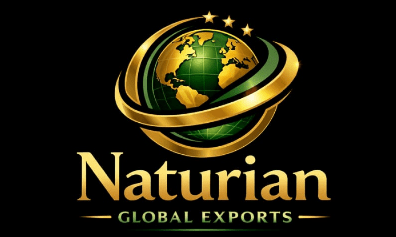 screenshot 2026 03 09 163703