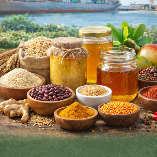 chatgpt image mar 9, 2026, 11 31 09 am